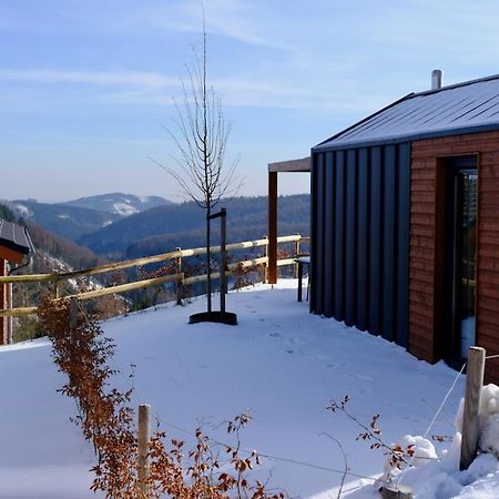 Villa Uplandparcs Winterberg Esterno foto