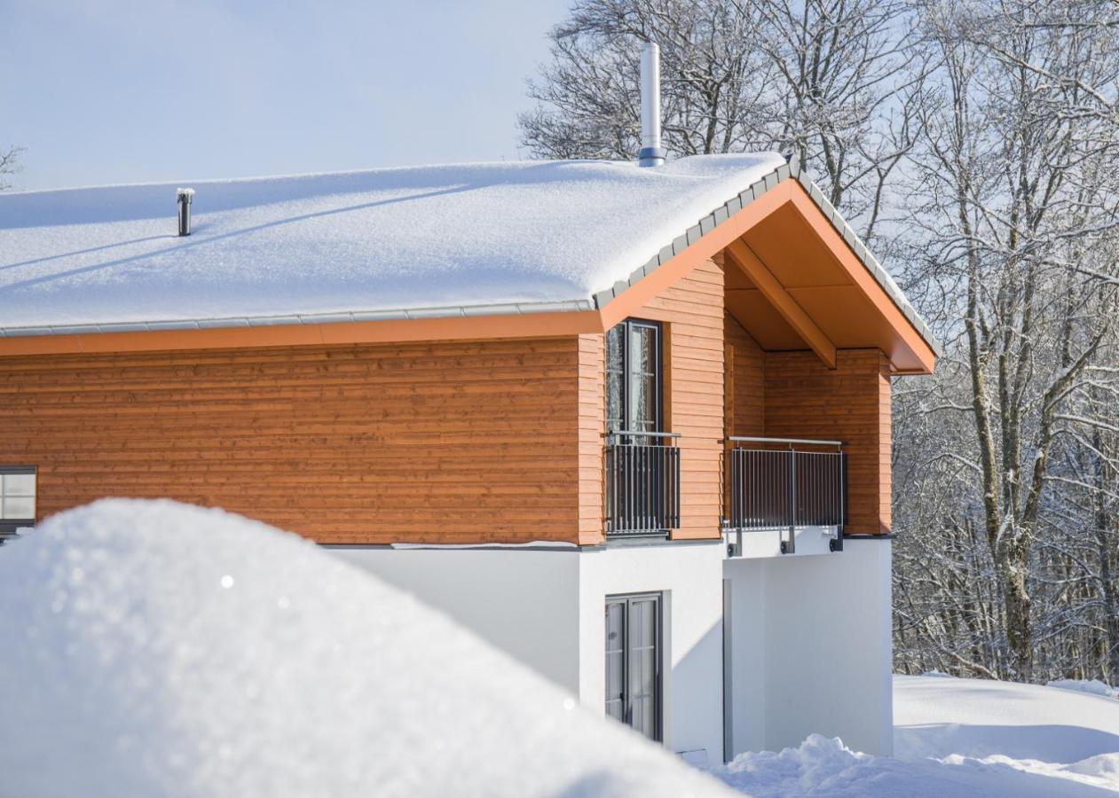 Villa Uplandparcs Winterberg Esterno foto