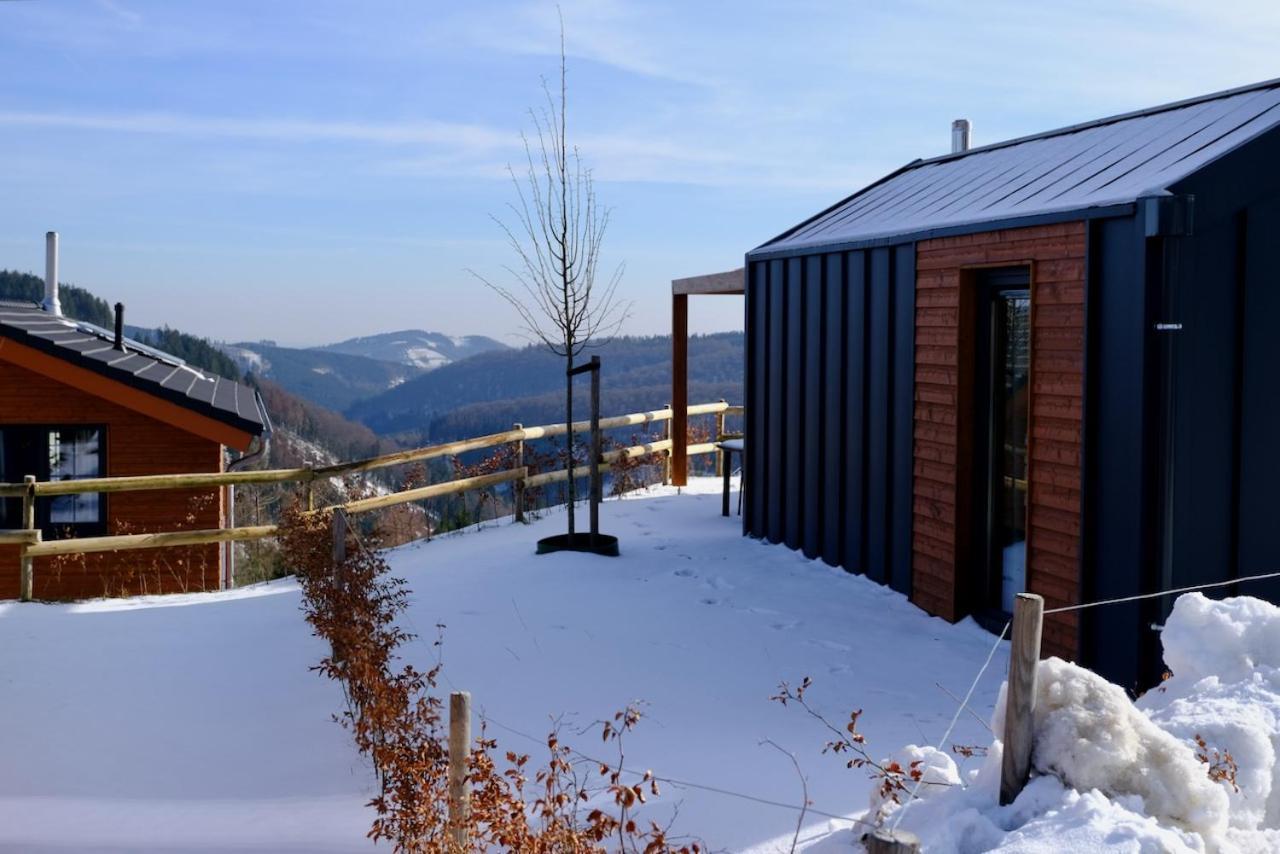 Villa Uplandparcs Winterberg Esterno foto